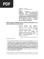 Expedir Sentencia Bajo Responsabilidad Funcional, Apersonamiento - PREVISIONAL PENSIONES - Cruz Gonzalo