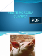 Peste Porcina Clasica