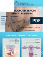 Patología Del Tracto Genital Femenino