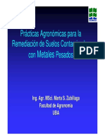 Remediacion de Suelos Contaminados Con Metales Pesados PDF