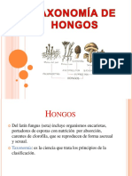 Hongos