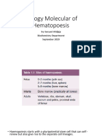 Biology Molecular of Hematopoesis: Sry Suryani Widjaja Biochemistry Department September 2019