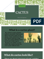 Cactus