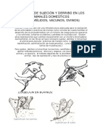 Tecnicas de Sujecion y Derribo en Los Animales Domesticos
