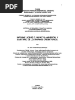 Informe Sobre El Impacto Ambiental de Hornos Crematorios