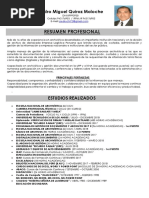 CV Documentado Pedro Quiroz Junio 2019