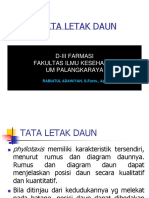 Tata Letak Daun