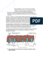 Modulo 2