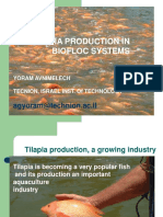 Tilapia BioFloc PDF