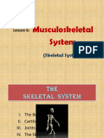 Skeletal System