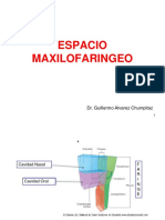 Espacio Máxilo Faringeo - 20190414234235