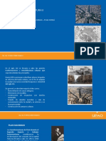 Transformacion de La Ciudad PDF