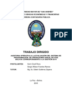 Auditoria Operativa PDF