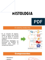 Histologia Del Sistema Endocrino