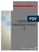 Derecho Procesal Penal II