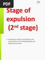 Stage of Expulsion (2 Stage)