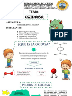 Oxidasa Terminada