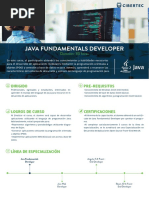 Java Fundamentals Developer