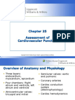 Assessment of Cardiovascular Function