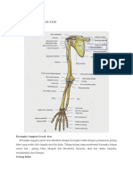 Tulang Ekstremitas Atas