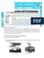 29 Ficha Componentes Del Ecosistema para Cuarto de Primaria