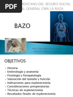 BAZO