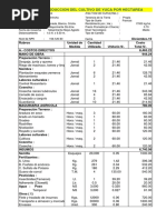 CP Hectarea Yuca PDF