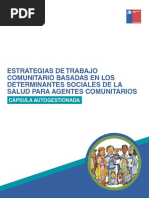 Contenidos Cápsula Estrategias de Trabajo Comunitario