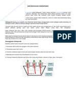 Bioteknologi Hidroponik