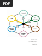 Pestle Analysis Week 2