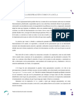 3.3 La Respiración Como Un Ancla