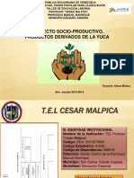 Proyecto Socio-Productivo. Productos Derivados de La Yuca