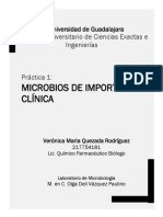 Práctica 1: Microbios de Importancia Clínica