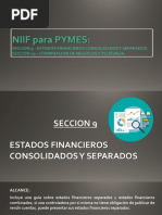 Niif para Pymes Secciones 9 y 19