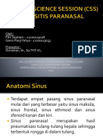 CSS 3 - Sinusitis