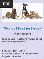 "The Cuttest Pet Ever": Video Contest