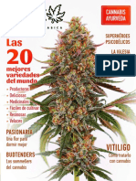 Revista THC 08.2019