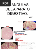 Histologia Hígado y Páncreas