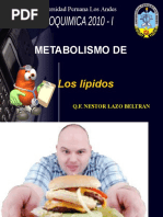 11 - Metabolismo de Lipidos