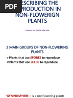 Describing The Reproduction in Non-Flowerign Plants