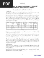 Evaluation of Formation Damage Caused by Completion and Workover Fluids