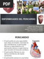 Enfermedades Del Pericardio PDF