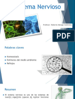 Sistema Nervioso: Profesor: Roberto Moraga Contreras