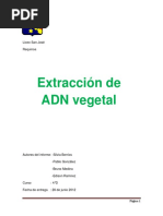 Extracción de ADN Vegetal: Liceo San José Requinoa