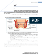 E26-Cáncer de Ano Revisada