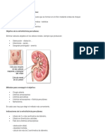 Definicion de Nefrolitotricia Percutanea