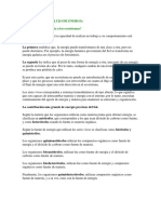 Ecosistema y Flujo de Energia