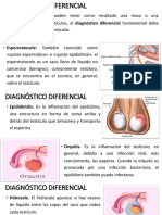 Diagnóstico Diferencial Cancer Testiculo