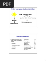 A Fény Szerepe A Növények Életében: Photomorphogenesis