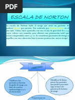 Escala de Norton